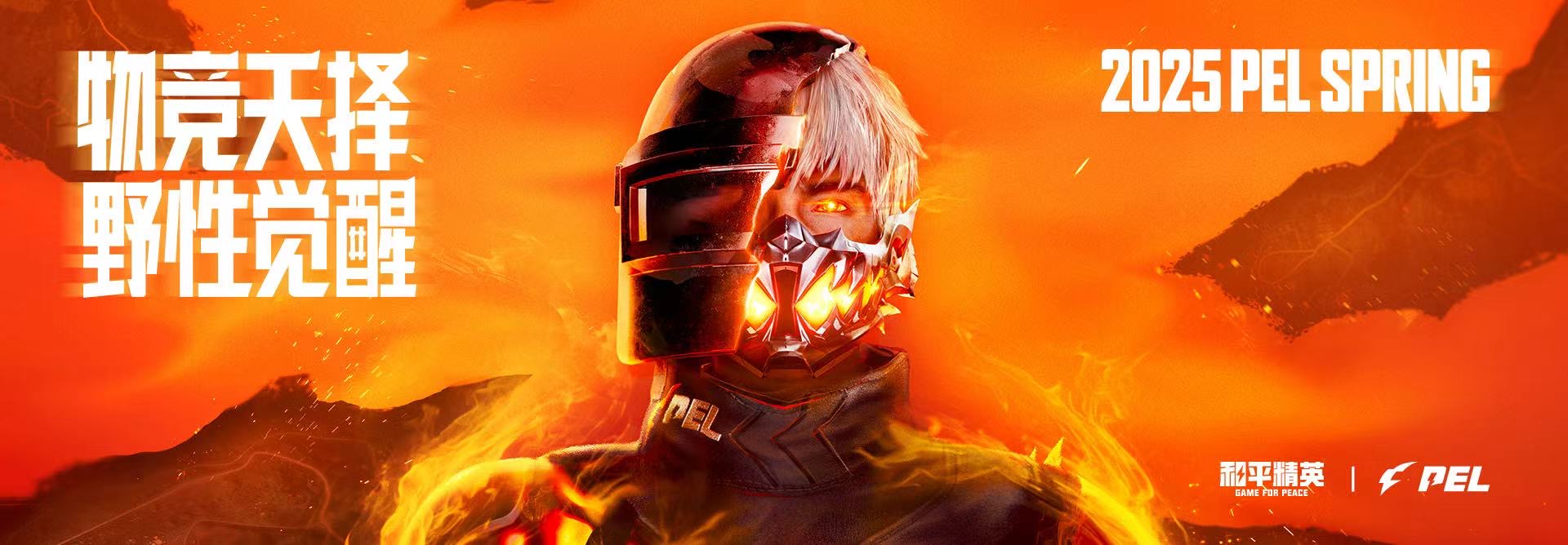 【神罚特别版】✅支持所有电脑系统，支持模拟器高清版。人物透视 锁死自瞄 射线方框 物资显示